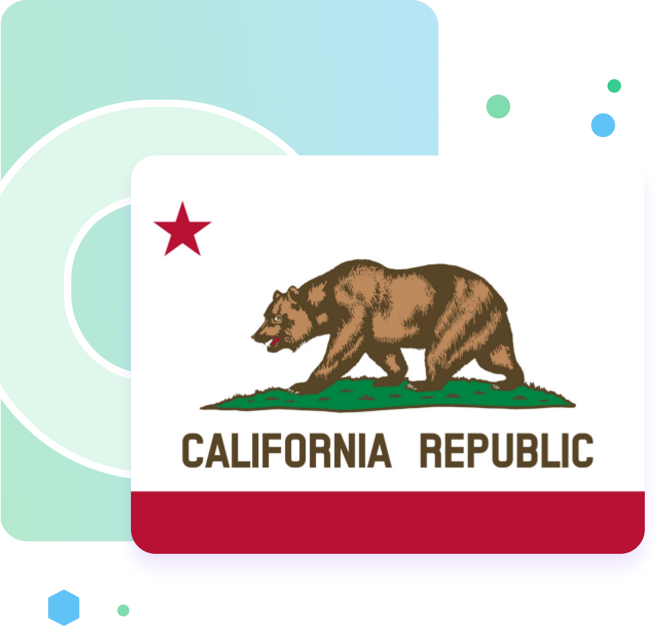 California Flag - switchback